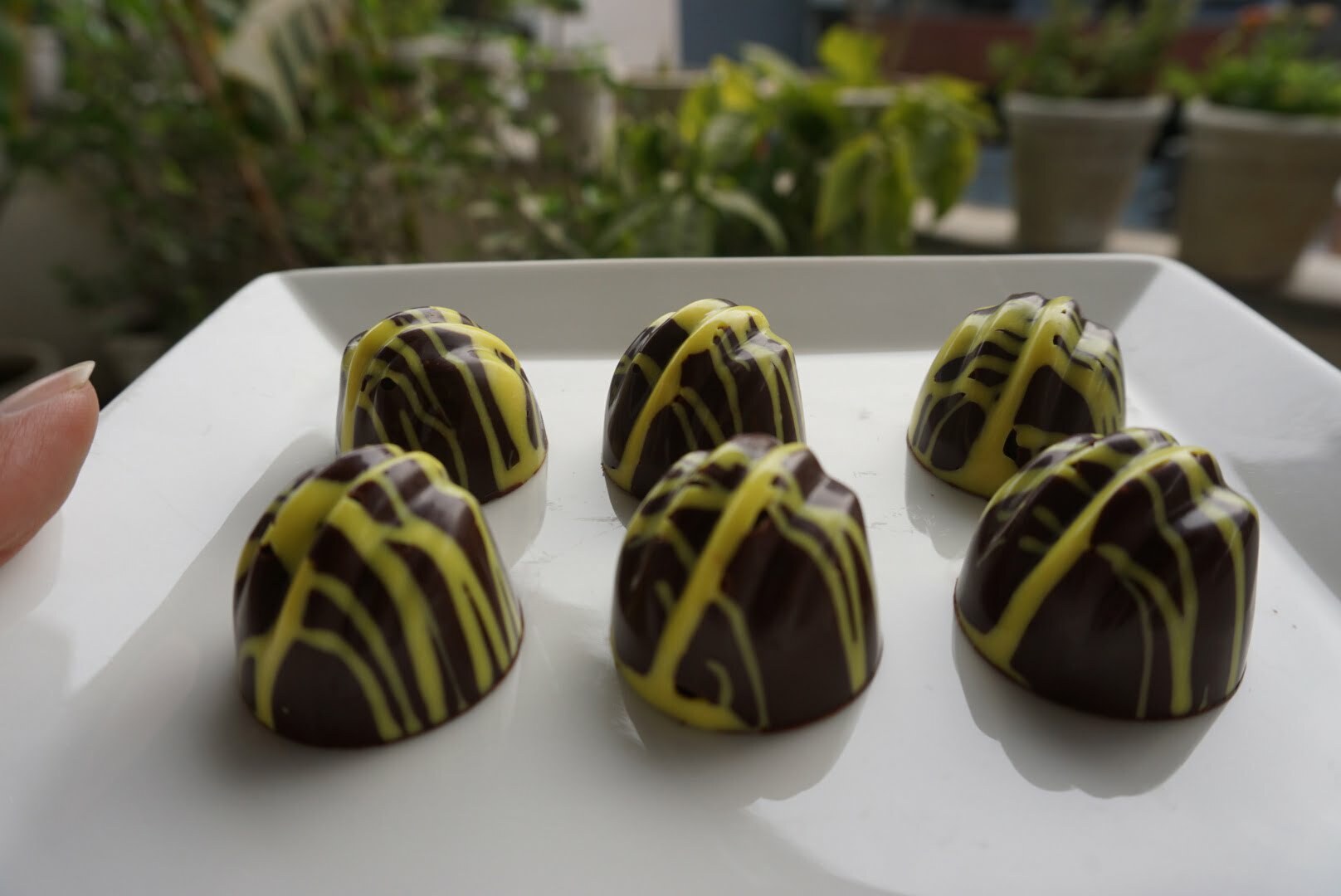 Lemon Chocolate